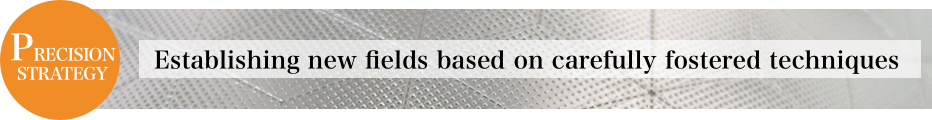 PRECISION Establishing new fields based on carefully forstered techniques STRATEGY